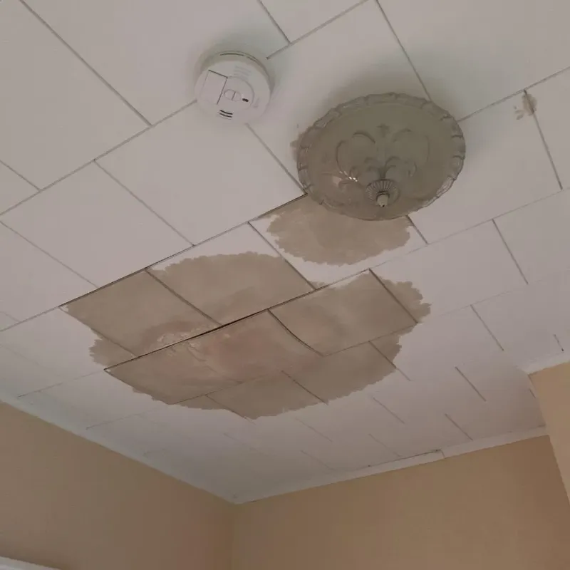 Ceiling Water Damage Repair in Smithville, OH