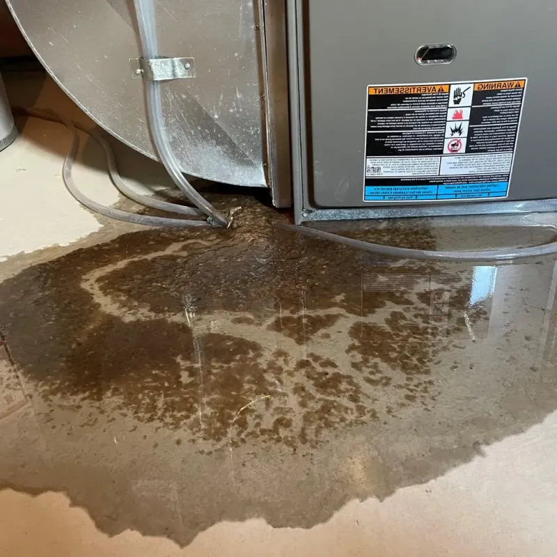 Pipe Burst and Leak Restoration in Smithville, OH