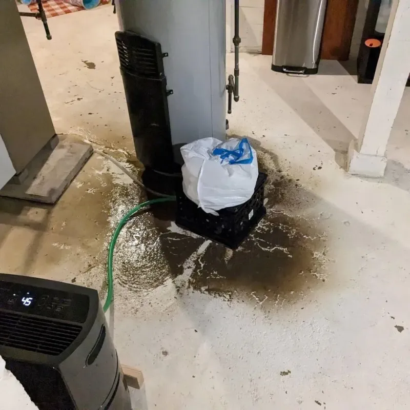 Sewage Backup Cleanup Service in Smithville, OH